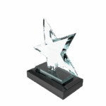 trophy (1)
